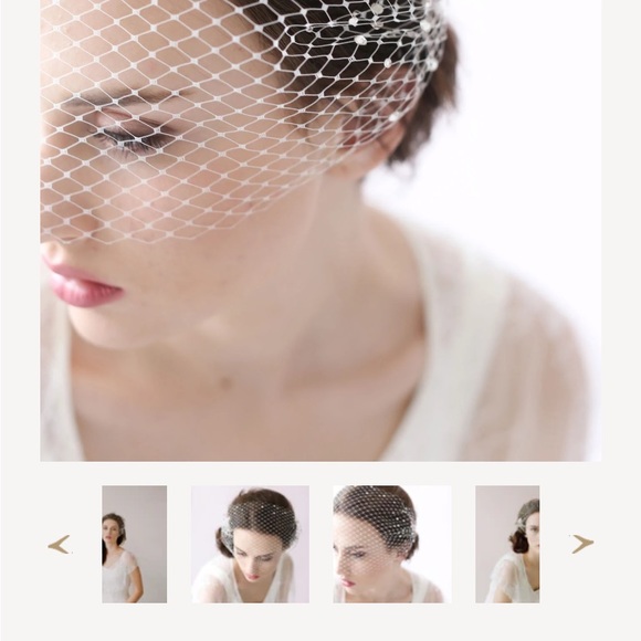 NWOT Twigs & Honey Rhinestone adorned bandeau birdcage veil - Picture 2 of 7